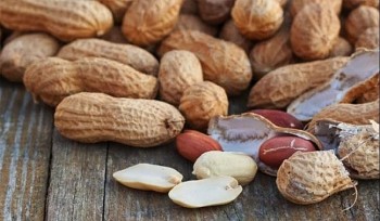 Nhiều lợi ích khi ăn lạc vào mùa đông