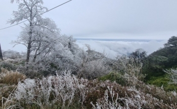 Thời tiết chiều nay 24/12/2023: Bắc Bộ giá rét, Nam Bộ se lạnh