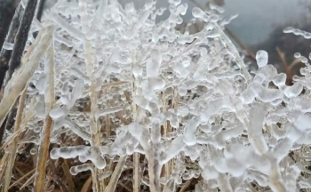 Thời tiết chiều nay 25/12/2023: Bắc Bộ duy trì rét đậm; Trung Bộ mưa rét