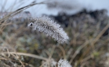 Thời tiết chiều nay 26/12/2023: Rét đậm, rét hại ở miền Bắc giảm dần