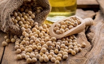 Rủi ro về mùa vụ tại Brazil thúc đẩy lực mua đậu tương