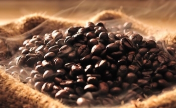 Giá cà phê vẫn còn động lượng tăng trước lo ngại nguồn cung