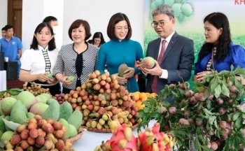 Đẩy mạnh xây dựng thương hiệu quốc gia cho nông sản