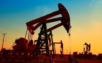 Thị trường nông sản diễn biến ảm đạm, giá dầu hồi phục