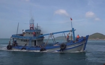 Tạm giữ tàu chở khoảng 35.000 lít dầu DO không rõ nguồn gốc