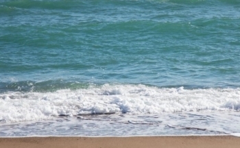 Dự báo thời tiết biển hôm nay 31/12/2023: Có nơi có mưa rào và dông