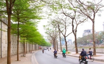 Dự báo thời tiết Hà Nội ngày mai 1/1/2024: Hà Nội có sương mù, ngày nắng