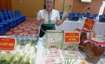 Lợn đen huyện vùng cao Đà Bắc, sản phẩm được thị trường đón nhận