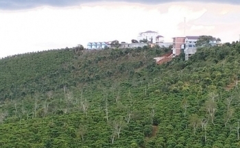 Hộp thư ngày 1/1: Phản ánh về Công ty CP khoáng sản Bắc Kạn và tiệm vàng Minh Tuấn