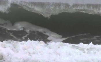 Dự báo thời tiết biển hôm nay 02/01/2024: Có gió mạnh và sóng lớn