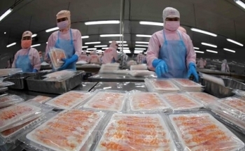 Hướng đi riêng cho tôm Việt