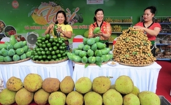Sơn La: Phát triển nông sản chất lượng cao gắn với thương hiệu địa phương