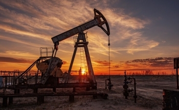 Sắc đỏ áp đảo bảng giá nông sản, giá dầu duy trì đà tăng