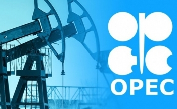 OPEC+ sẽ tổ chức cuộc họp JMMC vào ngày 1/2