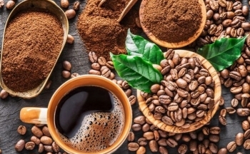 Giá cà phê mới nhất ngày 8/1/2024: Thị trường cà phê trong nước ổn định