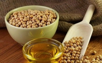 Giá đậu tương có thể hồi phục trở lại trong phiên hôm nay nhờ lực mua kỹ thuật