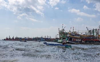 Cà Mau: Có dấu hiệu của hoạt động “xã hội đen” gây mất an ninh trật tự vùng biển