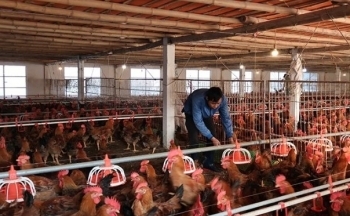 Lan tỏa dòng vốn vào nền kinh tế