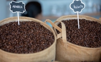 Giá cà phê có thể xác lập xu hướng mới