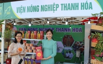 Thanh Hóa: Sẽ tổ chức 100 gian hàng nông sản, sản phẩm OCOP phục vụ nhân dân dịp Tết Nguyên đán