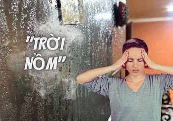 Mẹo đơn giản giúp nhà, cửa khô ráo khi thời tiết nồm ẩm