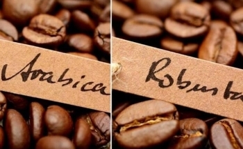 Sổ liệu CPI tháng 12 của Mỹ có tác động lên giá cà phê?