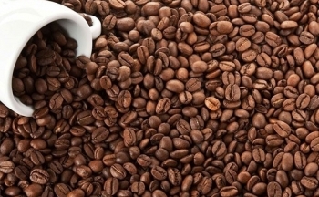 Giá cà phê mới nhất ngày 12/1/2024: Thị trường cà phê trong nước tăng phi mã gần chạm ngưỡng 80.000 đồng/kg