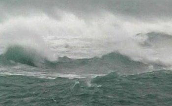 Dự báo thời tiết biển hôm nay 12/1/2024: Gió Đông Bắc mạnh, sóng to, biển động