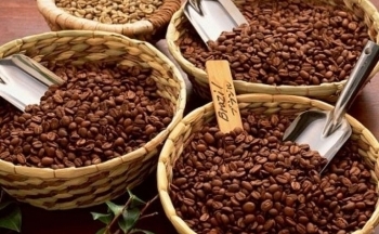 Giá cà phê Arabica tăng bất chấp tỷ giá USD/BRL tăng