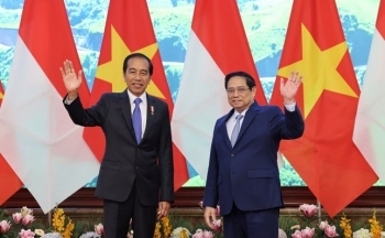 Thủ tướng Phạm Minh Chính hội kiến Tổng thống Indonesia Joko Widodo
