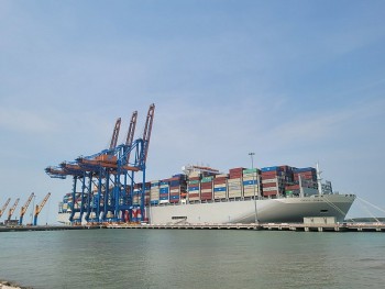 Tổ công tác đặc biệt của Bà Rịa - Vũng Tàu xử lý 23 kiến nghị của doanh nghiệp