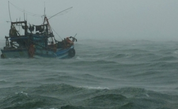 Dự báo thời tiết biển hôm nay 14/1/2024: Có gió mạnh, mưa rào và dông rải rác, biển động