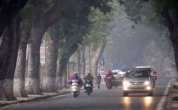 Thời tiết hôm nay ngày 15/1/2024: Bắc Bộ, Trung Bộ đêm và sáng sớm mưa rét