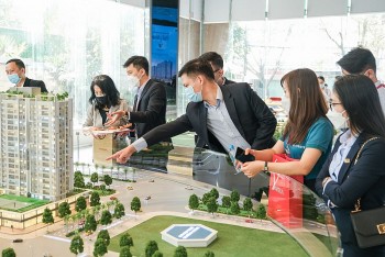 Từ năm 2025, cá nhân không được hành nghề môi giới bất động sản độc lập