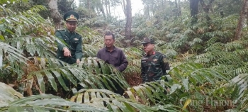 Gương sáng người Mông với quyết tâm thoát nghèo, vượt khó