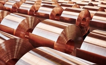 Sắc đỏ bao trùm bảng giá kim loại, giá bạch kim về đáy