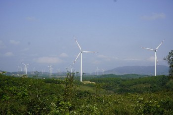 Net Zero vào năm 2050: Việt Nam cần nhiều hành động thiết thực hơn nữa