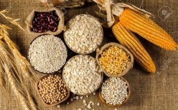 Giá ngô hồi phục trở lại sau chuỗi 4 phiên giảm giá liên tiếp