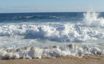 Dự báo thời tiết biển hôm nay 20/1/2024: Có mưa vài nơi, từ chiều tối chuyển gió Đông Bắc