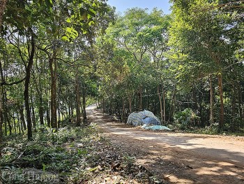 Dự án Đồi Sao trăm tỷ ở Phú Quốc 2 lần gia hạn vẫn “đắp chiếu”