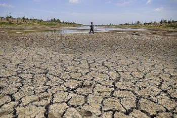 TP. Hồ Chí Minh và Đồng bằng sông Cửu Long đối mặt với xâm nhập mặn sâu