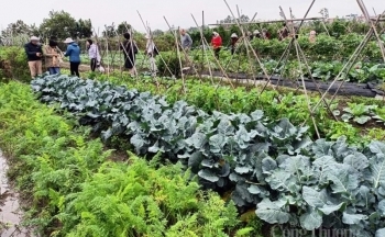 Việt Nam và Úc đẩy mạnh hợp tác thương mại và đầu tư nông nghiệp hữu cơ