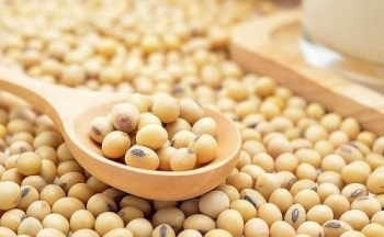 Nhóm các mặt hàng đậu tương đồng loạt lao dốc trong tuần trước