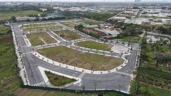 Hộp thư ngày 22/1: Phản ánh liên quan Tập đoàn Vimedimex; Cảnh đìu hiu tại Cửa khẩu Bắc Luân II