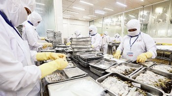 Nâng cao năng lực thực thi các quy định SPS