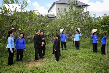 Bắc Giang: Chủ động triển khai các dự án hỗ trợ đồng bào phát triển kinh tế