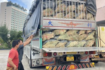 Phú Yên: Phát hiện hơn 1.900 chai rượu ngoại không hóa đơn chứng từ