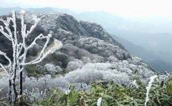 Thời tiết chiều nay 24/1/2024: Bắc Bộ tiếp tục rét hại, Trung Bộ mưa lớn