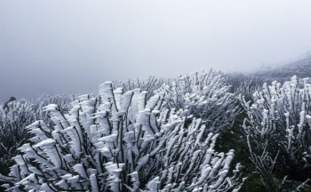 Thời tiết chiều nay 25/1/2024: Bắc Bộ chìm trong giá rét, Nam Bộ oi ả