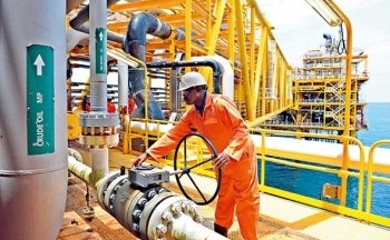 Tồn kho dầu Mỹ giảm mạnh hơn dự kiến kéo giá dầu tăng khoảng 1%